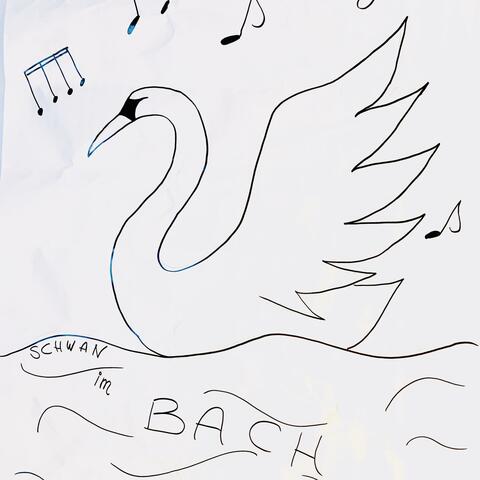 Schwan im Bach
