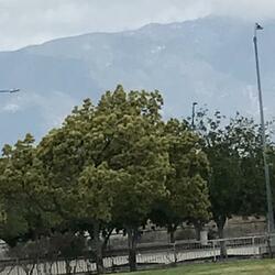 Baby It's Warm Outside