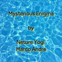 Mysterious Enigma
