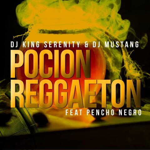 Pocion Reggaeton (feat. Dj Mustang & Pencho Negro)