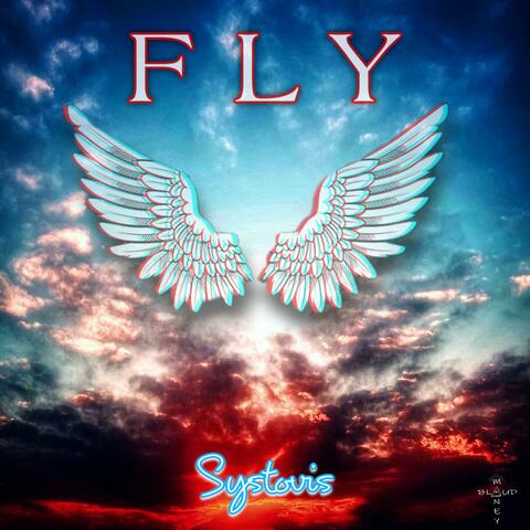 Fly