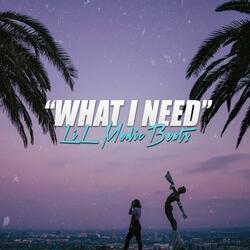 What I Need