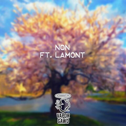 Non (feat. Lamont)