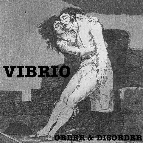 Order & Disorder