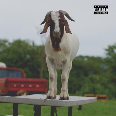 Never Left (feat. ThatGuy!?)