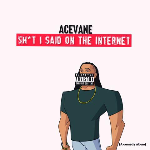 SH*T I SAID ON THE INTERNET