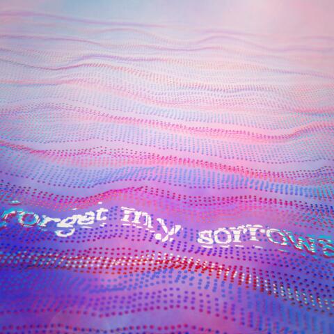 Forget My Sorrows