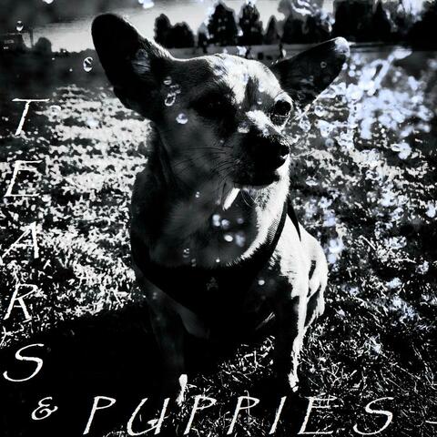 Tears & Puppies