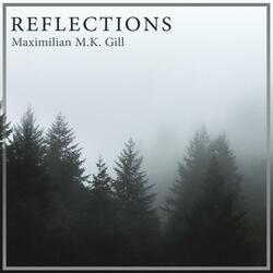 Reflections
