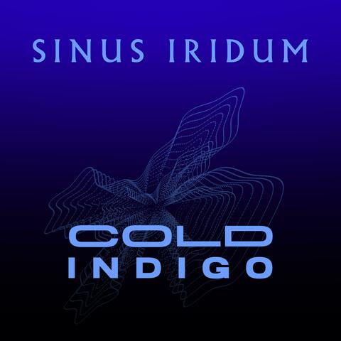 Cold Indigo