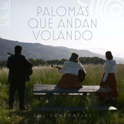 Palomas Que Andan Volando