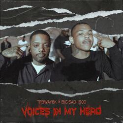 Voices In My Head (feat. Big Sad 1900)