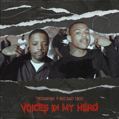 Voices In My Head (feat. Big Sad 1900)