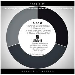 What We Gonna Do Now?