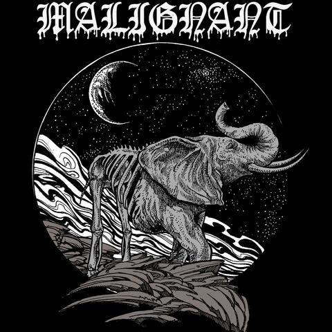 SATAO PROMO