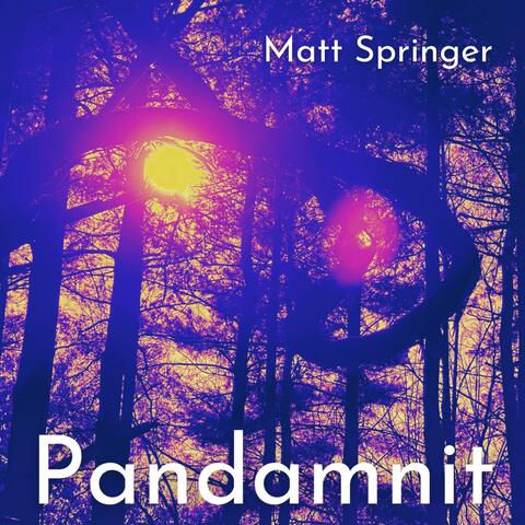 Pandamnit