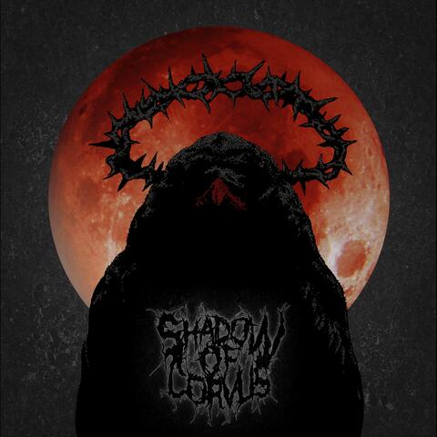 Path Of Red
