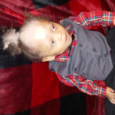 ABC Shake N Wiggle
