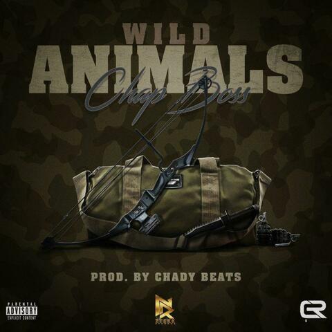Wild Animals