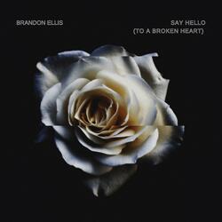 Say Hello (To a Broken Heart)