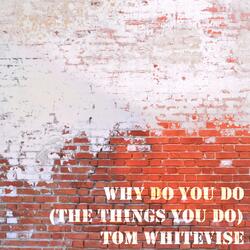 Why Do You Do (The Things You Do)
