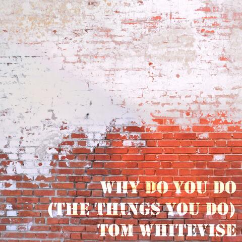 Why Do You Do (The Things You Do)