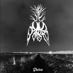 The Nightly Plains