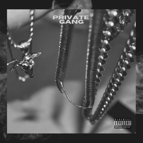 PRIVATE GANG VOLUME 1