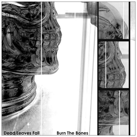 Burn The Bones (feat. TimJustTim)