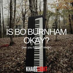 Is Bo Burnham Okay?