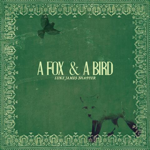 A Fox & A Bird