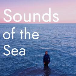 Surreal Sea Echoes (Meditative)