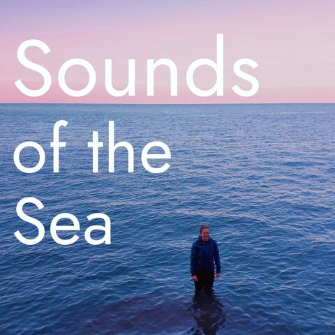 Sounds of the Sea (ASMR Natural Soundscapes)