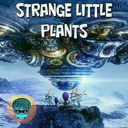 Strange Little Plants