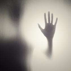 Asylum