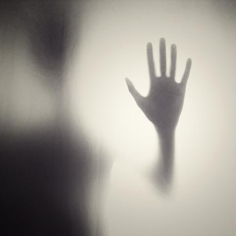 Asylum