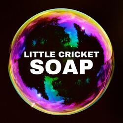 Soap