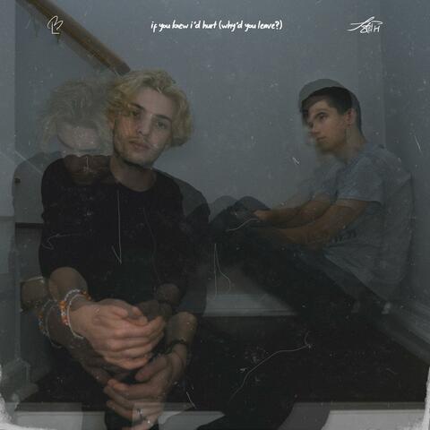 if you knew i'd hurt (why'd you leave?)