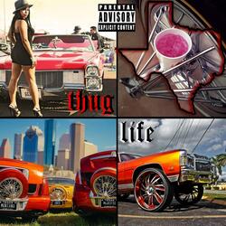 Thug Life (feat. Majestic, Soniq & Montana)