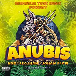 Anubis nsb johan flow leojhan