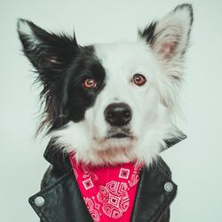 Stay! (feat. Clare Cooper)