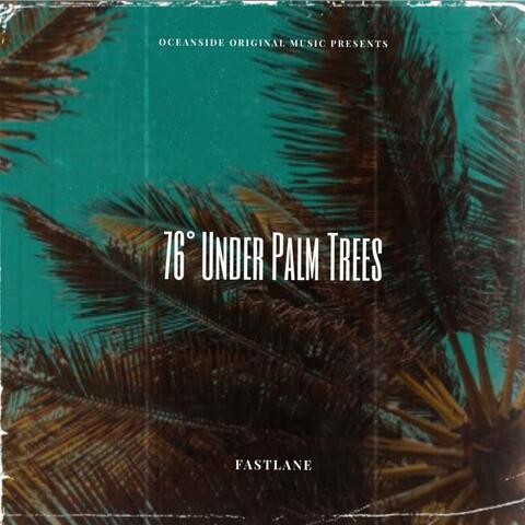 76° Under Palm Trees