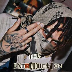 THE INTRODUCTION
