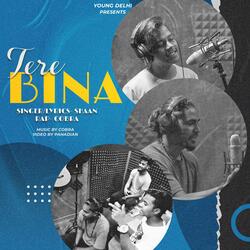 TERE BINA (feat. SHAAN)