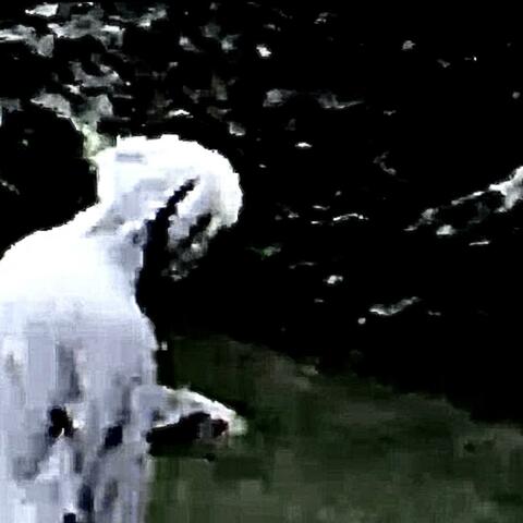 THE 444 FILES: SUMMON YOUR LOCAL DEMONS