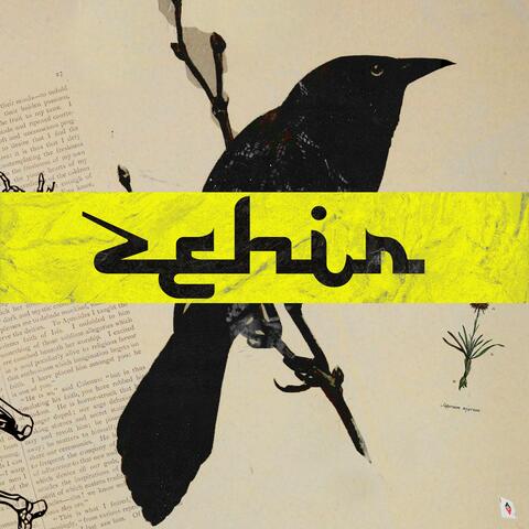 Zehir