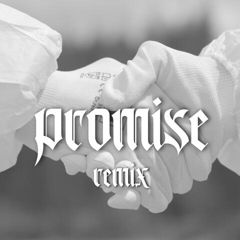 Promise (feat. REEVAH) [Remix]