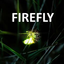 Firefly (hardstyle)