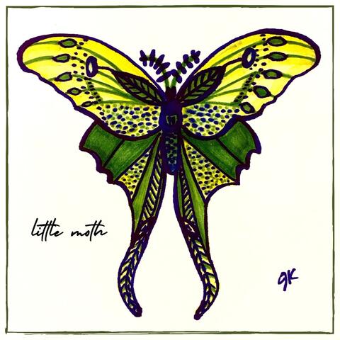 Little Moth