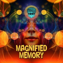 Magnified Memory